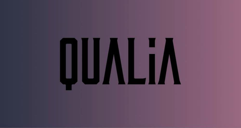 Qualia_preview