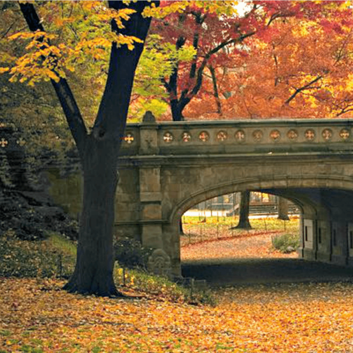 news round up featured