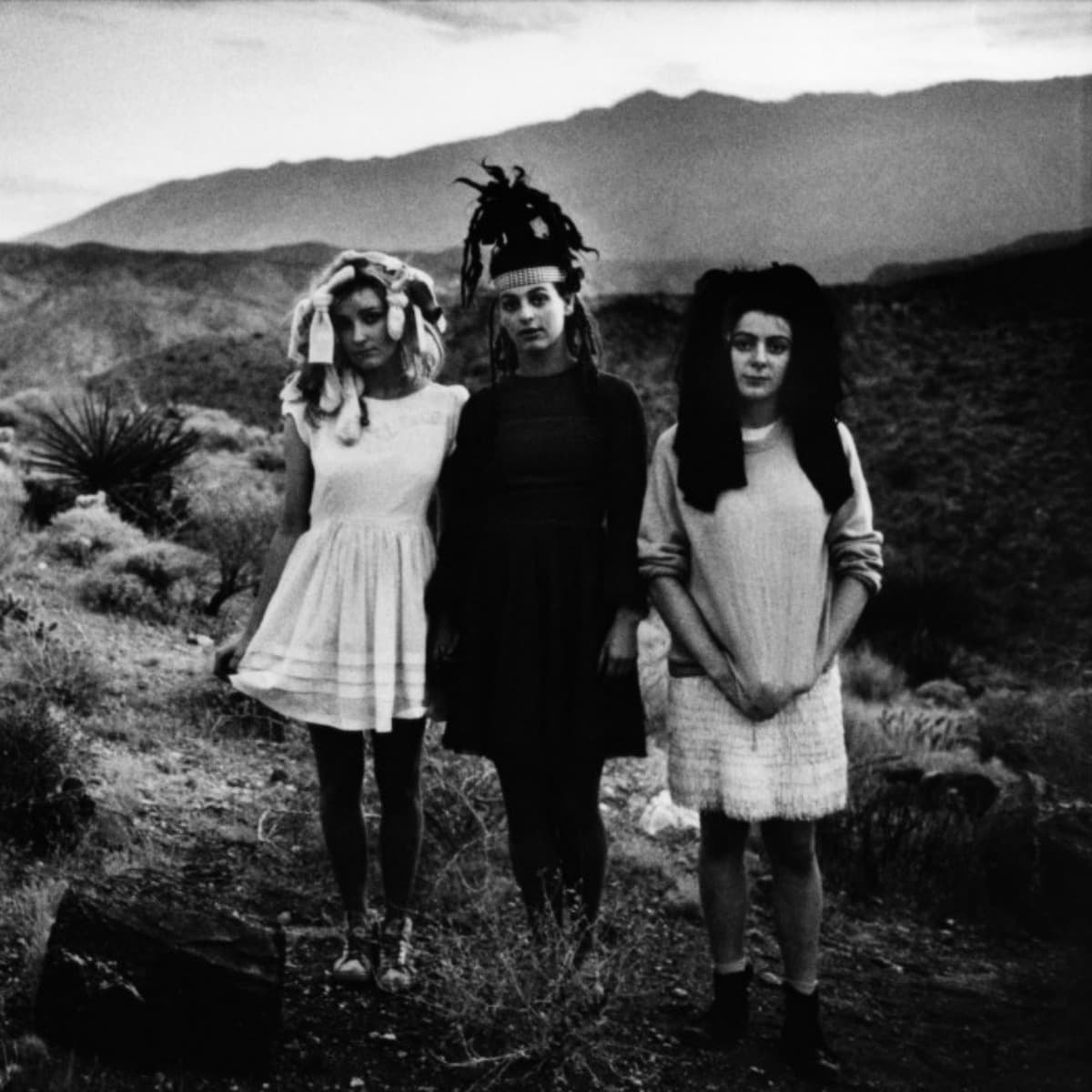 only noise cover to cover