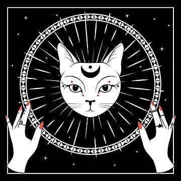 raf,360x360,075,t,fafafa_ca443f4786